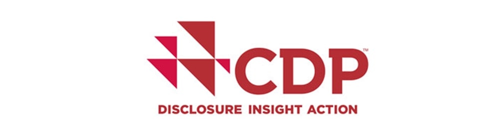 CDP Disclosure Insight Action logo