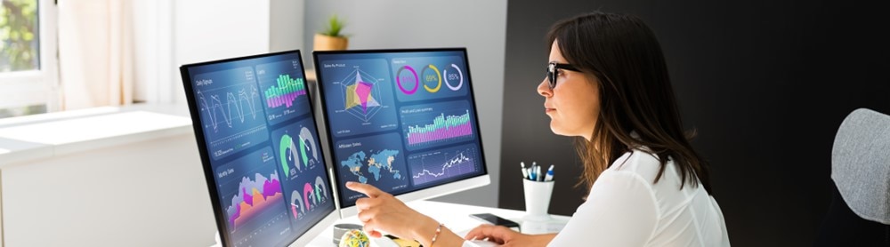 Consultant on dual monitors