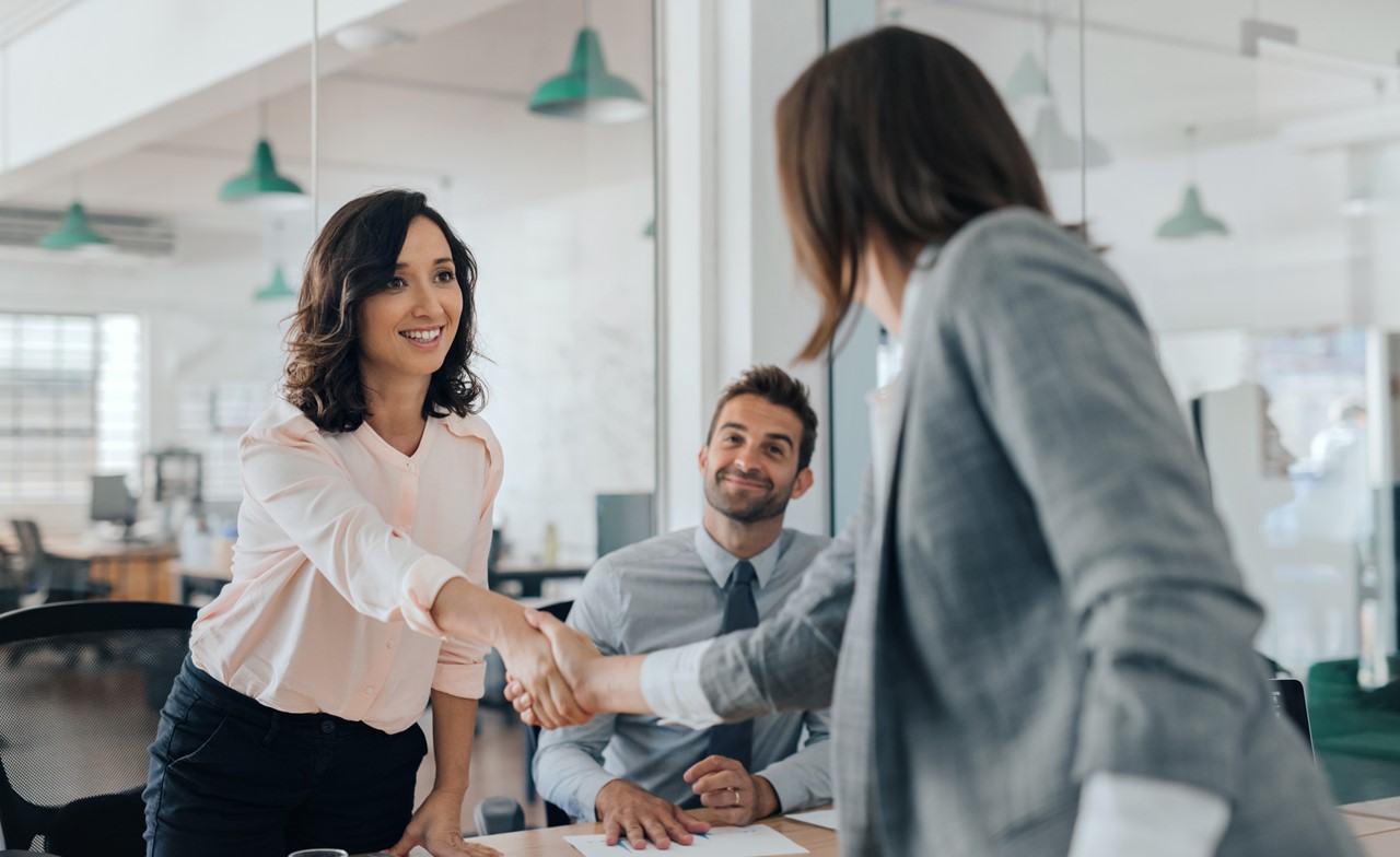 Consultants shaking hands