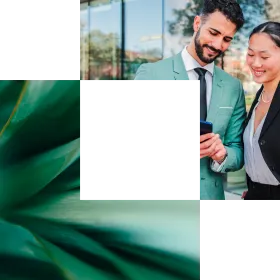consultants looking at phone and agave leaves