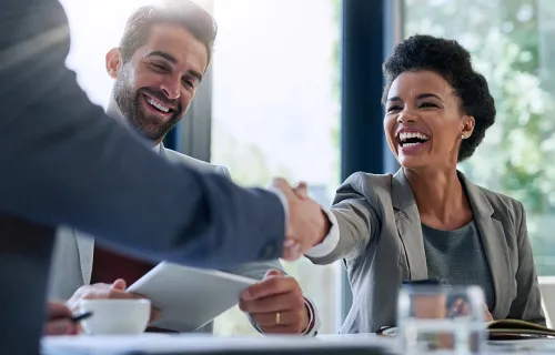 Business professionals handshake each other