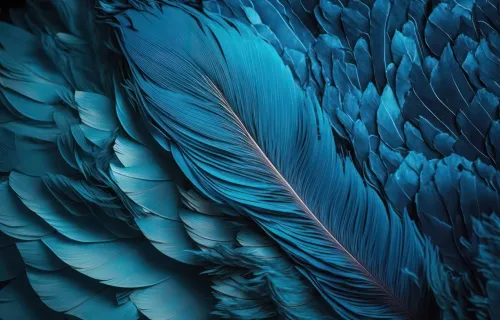 Blue feather abstract design