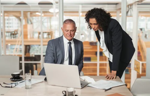 Consultants looking at laptop screen