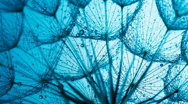 Navigating the Ai ecosystem