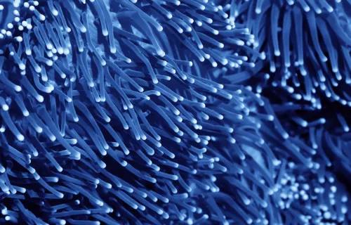 blue strands creating abstract background