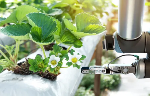 plant and technology representing sustainable IT